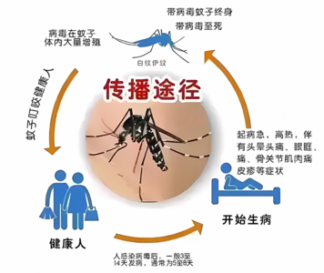 这类疾病处于高发季！国家疾控局最新通知