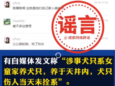女童打狗导致被咬？犬主为黑衣女子？成都警方辟谣：都是假的