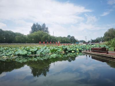 4000多名河湖长守护“水清岸绿”！青岛已创建23处省级美丽幸福示范河湖