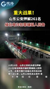 重大战果！山东公安押解261名缅北电诈犯罪嫌疑人回鲁