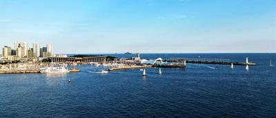 “下餃子”！青島一批海洋類數字大項目“上新”！