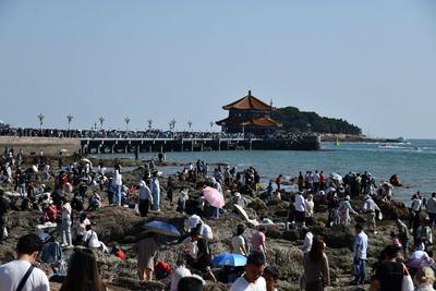 清明假期国内出游1.19亿人次，国内游客花费539.5亿元