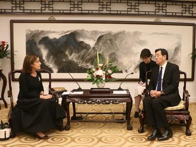中国政府中东问题特使翟隽会见以色列驻华大使潘绮瑞