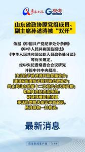山东省政协原党组成员、副主席孙述涛被“双开”