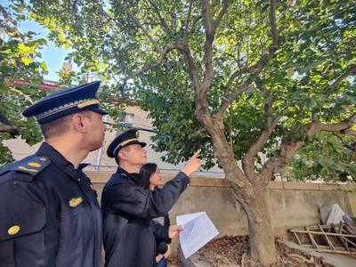 以良法促善治，青岛为这一领域立法