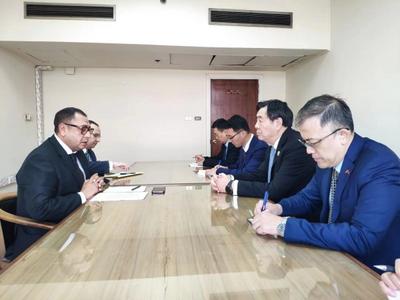 中国政府中东问题特使访问埃及