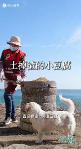 村村有好戏 | 土掉渣的小豆腐