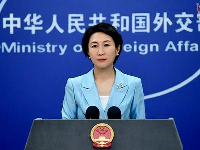 阿根廷将停止与中国政府合作？外交部：存在误读