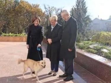 发生意外！摩尔多瓦总统爱犬咬伤奥地利总统