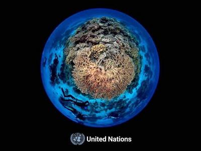 我国科学家首次当选联合国全球海洋评估章节协调作者