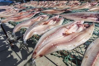 2025“山东省地标美食”名单发布，青岛这6款入选