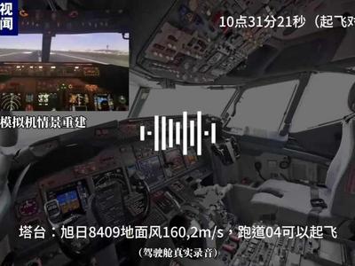 遭鸟击后12秒控制失控飞机，驾驶舱录音还原特情