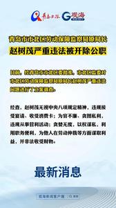 青岛市市北区劳动保障监察局原局长赵树茂严重违法被开除公职