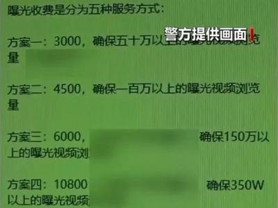一夜新增300万播放量？警方揭秘“流量骗局”