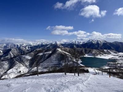 中国游客在日滑雪摔倒吸入粉雪窒息，粉雪是什么？