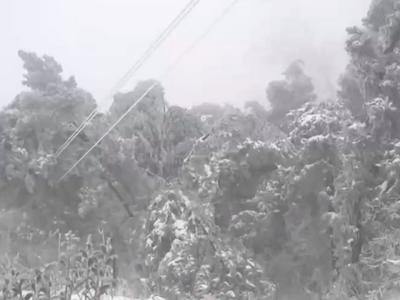 创纪录低温、极端暴雨……极端天气频发，我们如何应对？