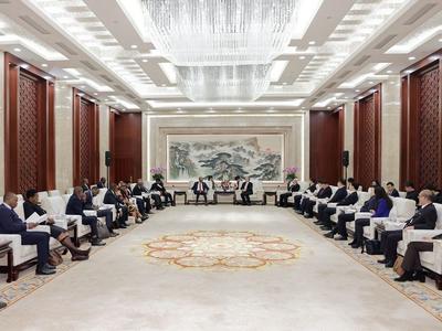 林武会见莫桑比克议会副议长因若若