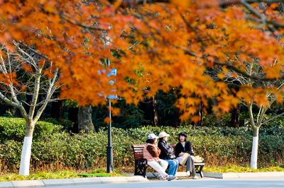 新修改的环境保护税法扩大挥发性有机物征税范围