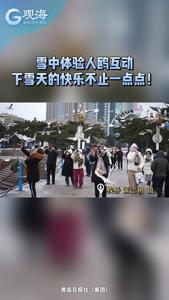 雪中体验人鸥互动，下雪天的快乐不止一点点！