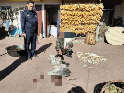 一级保护动物黑颈鹤被一男子捂死烹食，刑拘！
