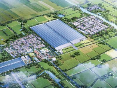 莱西望城街道：新一代信息技术产业链党建联盟赋能“数字高地”攀高逐新