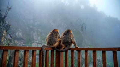 中国新增两个世界生物圈保护区