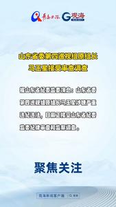 山东省委第四巡视组原组长马玉星接受审查调查