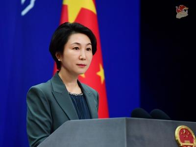 菲律宾将在南海开发岛屿以适应军队部署？外交部表态
