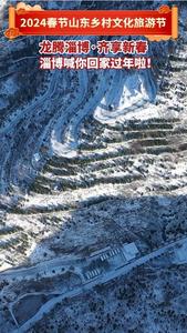 龙腾淄博·齐享新春！淄博喊你回家过年啦