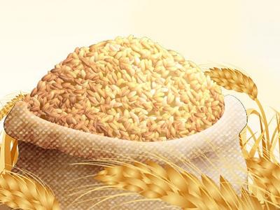 2023年全国粮食收购量超4亿吨