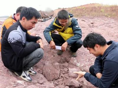距今1.5亿年的恐龙化石是如何形成保存的？这种方式全国罕见