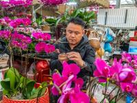 花卉市场年味渐浓！青岛市民欢喜选购年宵花