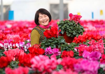 做好收官之战！即墨区完成“四减四增”主要目标和重点任务