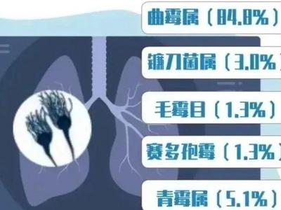 毒性是砒霜数十倍，不要忽视霉菌对身体的危害