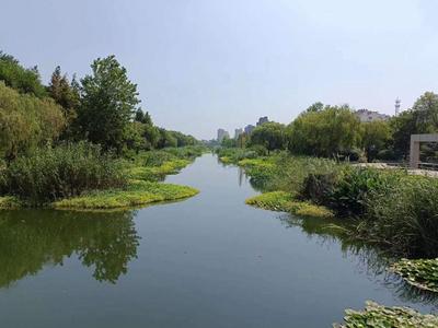 河畅水清、岸绿景美！青岛再添4条省级美丽幸福示范河