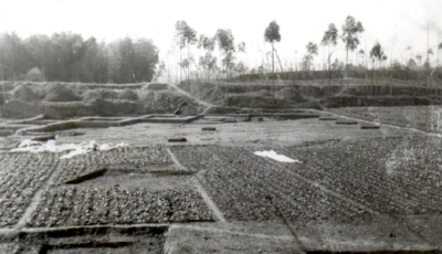 三星堆古城的城墙如何被确认？丨三星堆问答