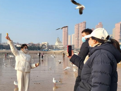 栈桥拍照被阻挠？市南区市场监督管理局：及时查处将严肃处理