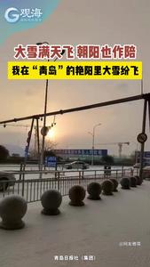 大雪满天飞，朝阳也作陪！我在“青岛”的艳阳里大雪纷纷