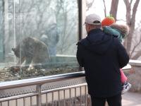 “八块五的快乐”升级！青岛动物园最新“猛宠表情包”上线啦