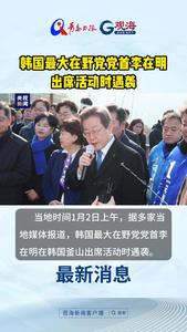 韩国最大在野党党首李在明出席活动时遇袭