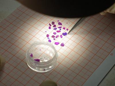 我国科学家实现无液氦极低温制冷基础研究突破