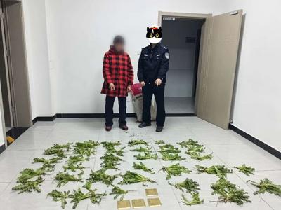 “这是罂粟？以为是茼蒿呢！”民警：别狡辩！
