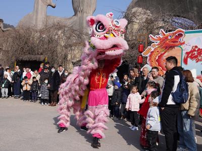 春节假期，青岛森林野生动物世界人气旺