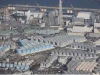 日本福岛第一核电站核污染水净化装置泄漏或由人为失误造成