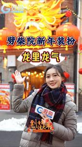 真喜人！劈柴院新年装扮龙里龙气