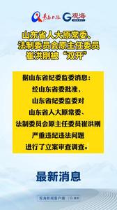 山东省人大原常委、法制委员会原主任委员崔洪刚被“双开”