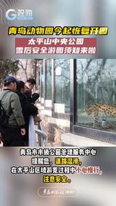 青岛动物园今起恢复开园