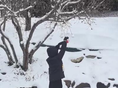 雪后浪漫，不仅属于南方的“小土豆”，山东纯爷们也来秀~~~是不是戳中你了