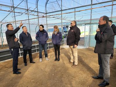 智利车厘子来青有望提速增量！本年度即墨与智利水果出口商协会将开展双向考察