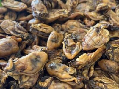 我们的年夜饭⑪丨深圳：蚝豉寓意 好事连连
